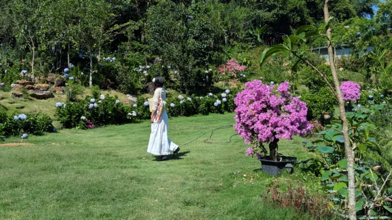 Linh Quy Pháp Ấn 13