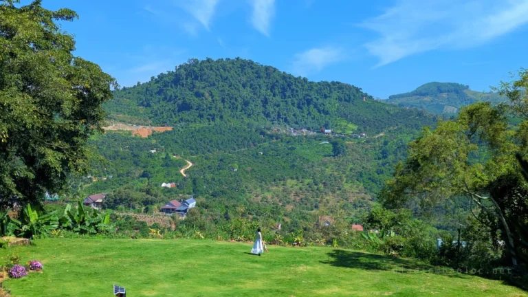 Linh Quy Pháp Ấn 12