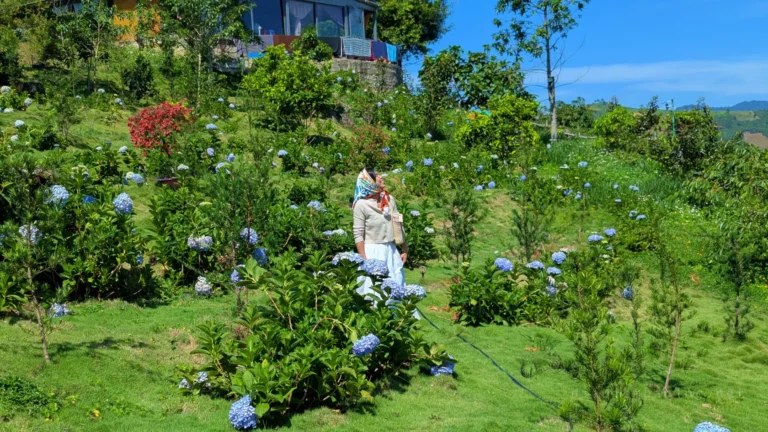 Linh Quy Pháp Ấn 14