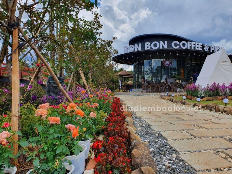 Bon Bon Coffee & Pizza 8
