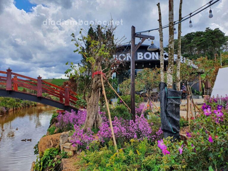 Bon Bon Coffee & Pizza 13