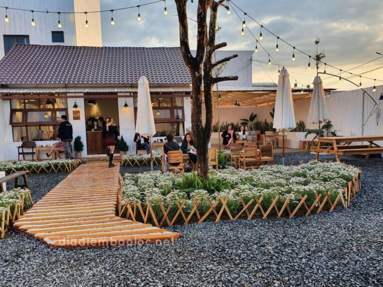 LeCii Cafe 11