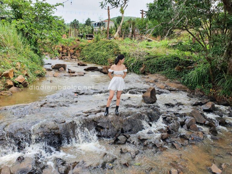 Nhà Của Gạo 5