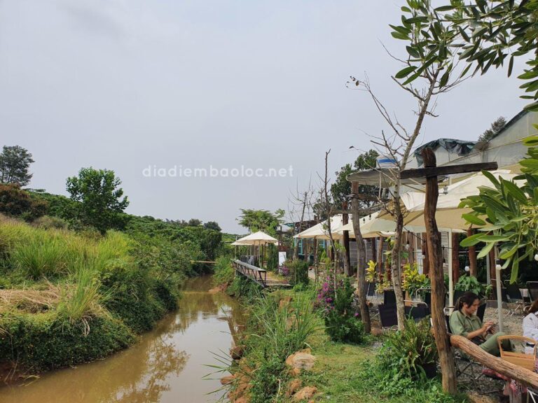Nhà Của Gạo 25