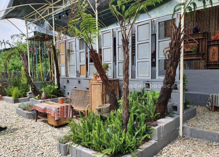 Nhà Của Gạo 4