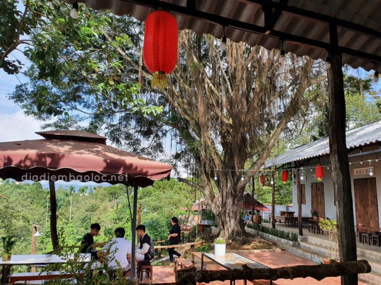 Chị Hai Ơi 12