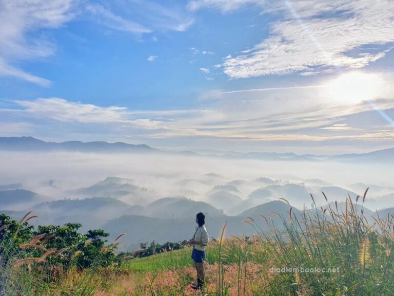 Đồi Bát Úp 17