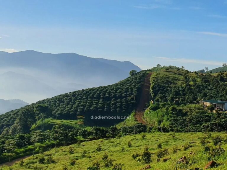 Đồi Bát Úp 16