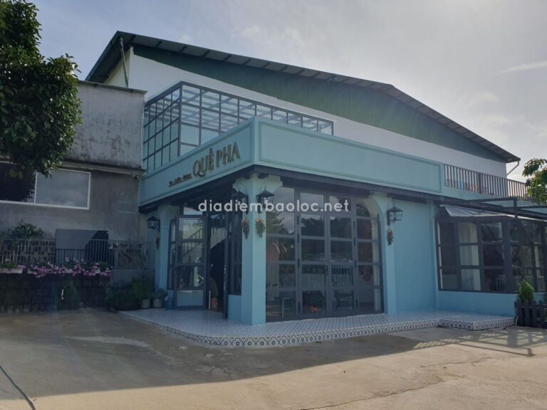 Quế Pha 18