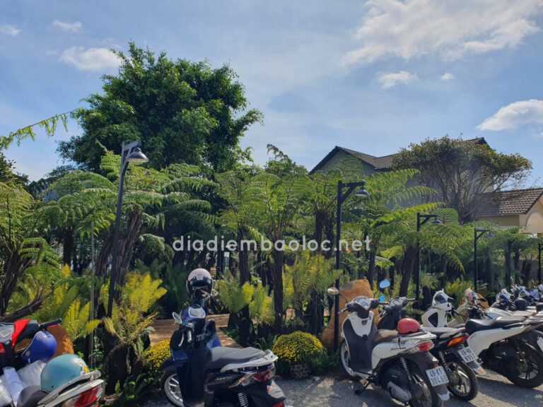 The Fern Coffee 10