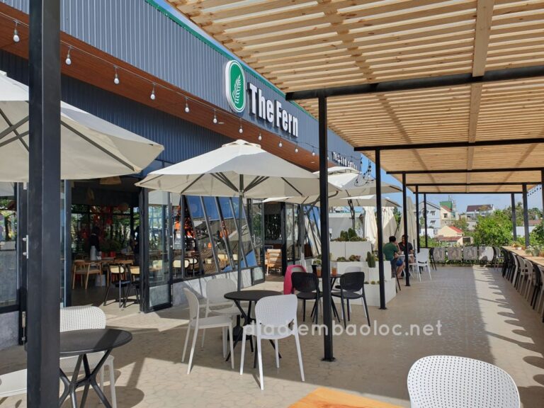 The Fern Coffee 9