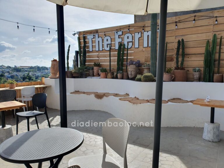 The Fern Coffee 8