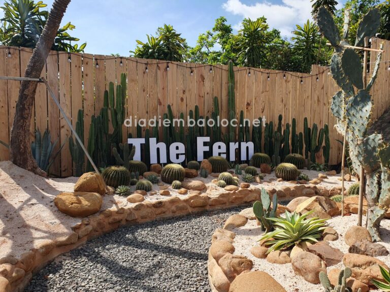The Fern Coffee 14