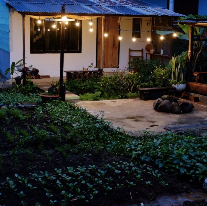 Father House - ảnh 6