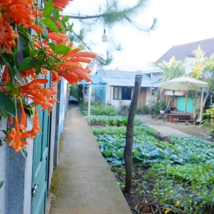 Father House - ảnh 26