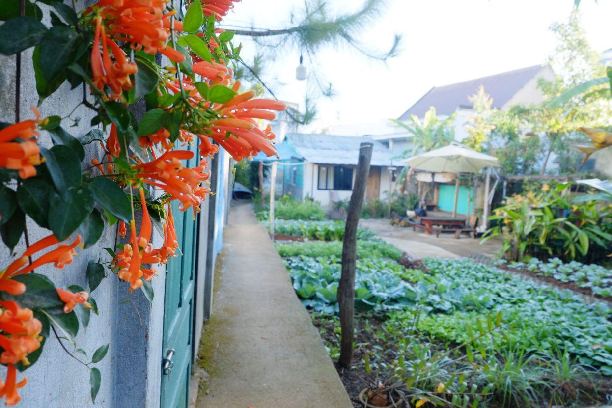 Father House - ảnh 26