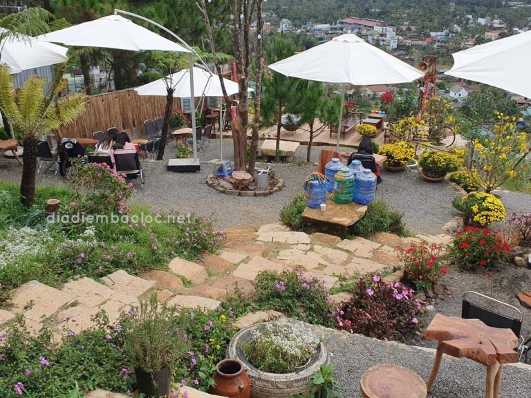 Góc Của Vội 11