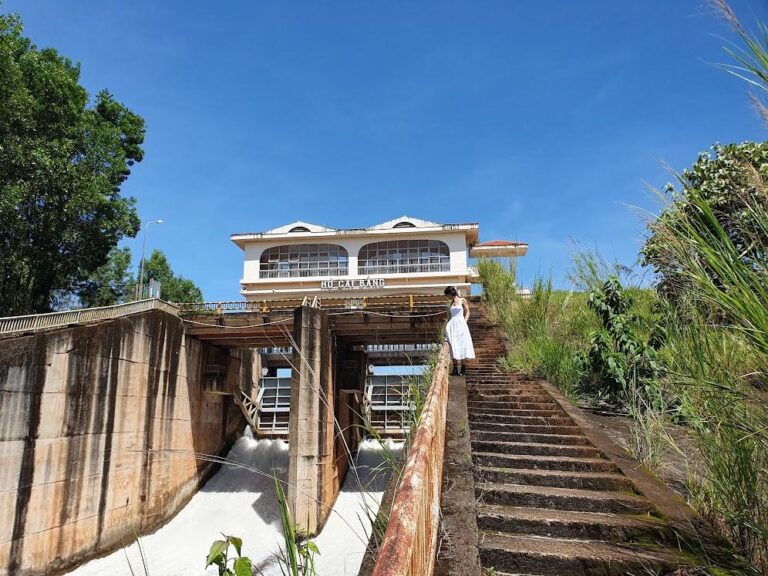 Hồ Cai Bảng 15