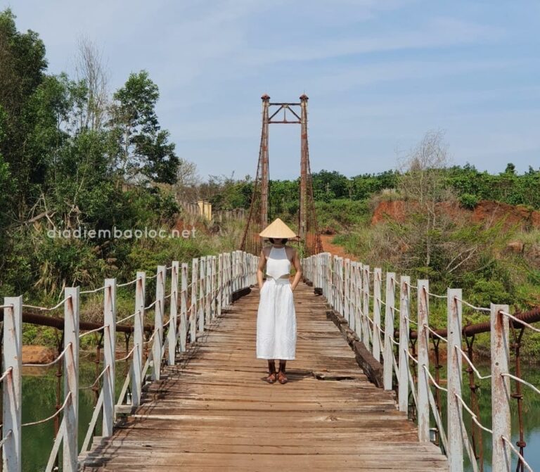 Hồ Cai Bảng 16