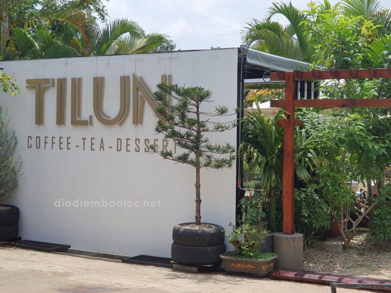 TYLUN Coffee 7