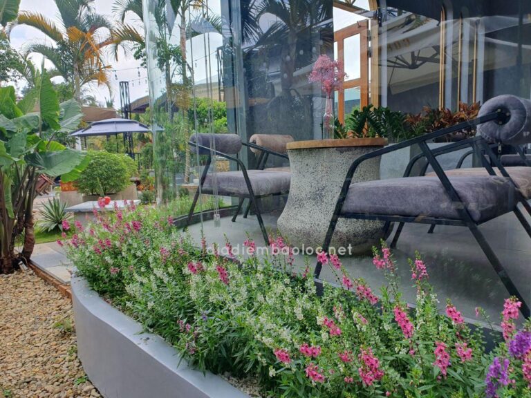 TYLUN Coffee 14