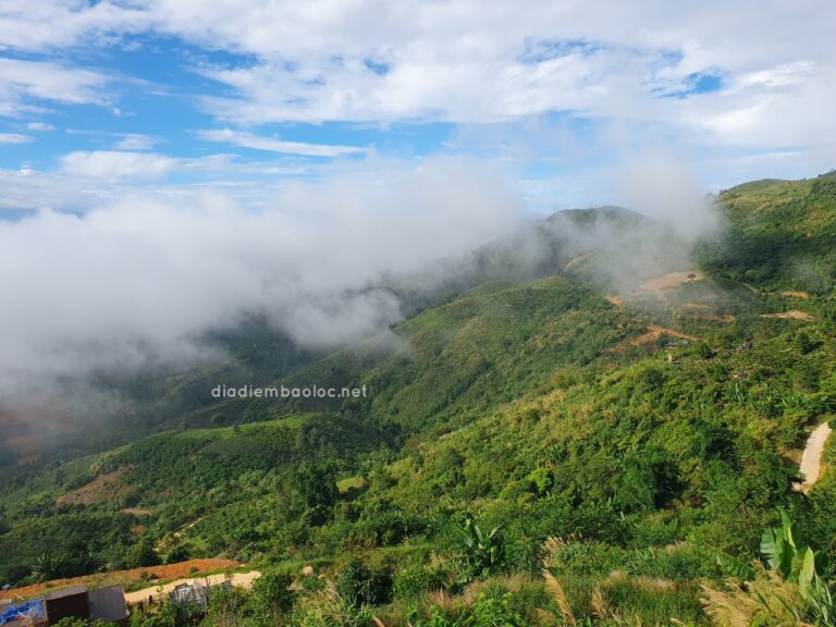 Đèo Mây Lộc Thành 10