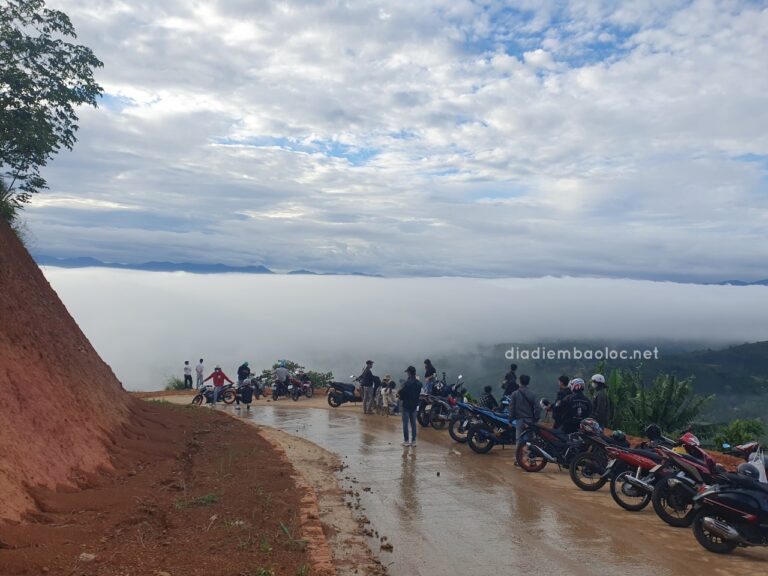 Đèo Mây Lộc Thành 12