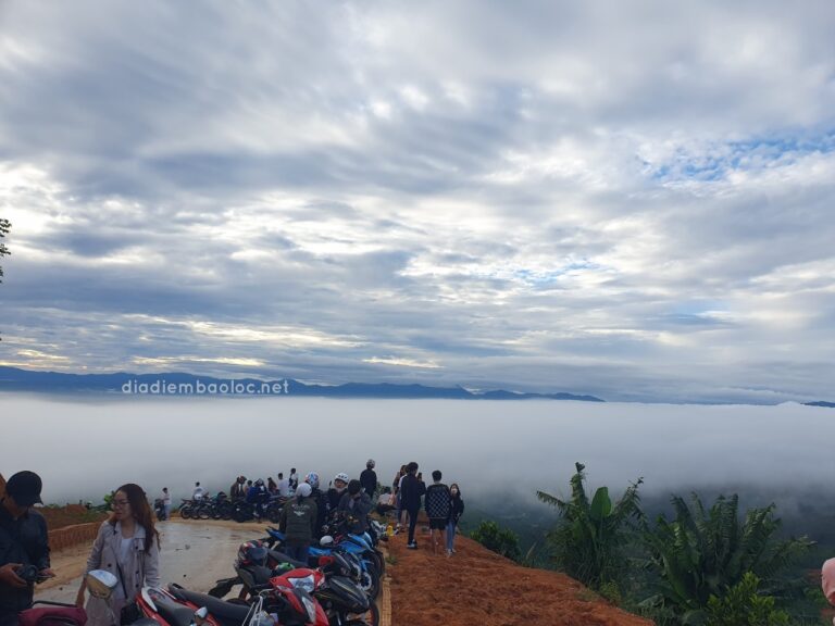 Đèo Mây Lộc Thành 19