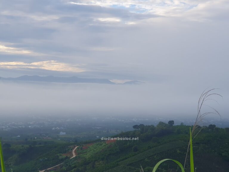 Đèo Mây Lộc Thành 20