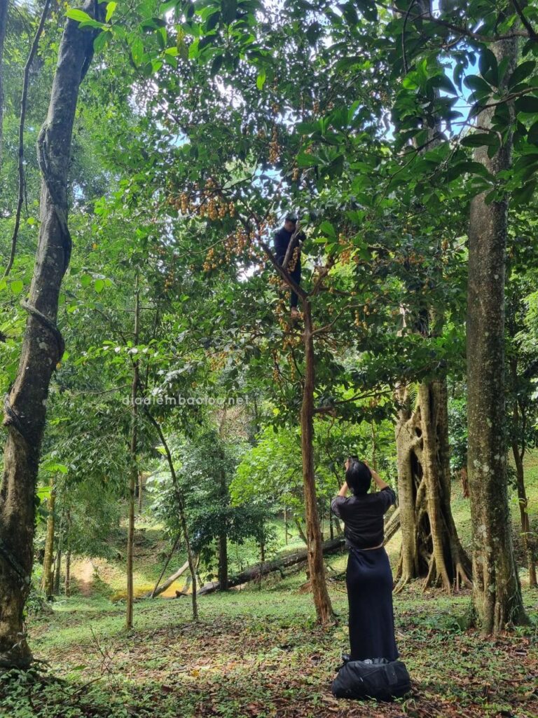 Thác Tam Hợp 7