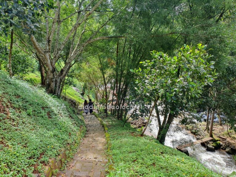 Thác Tam Hợp 19