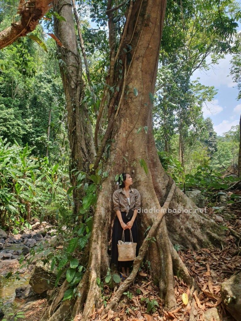 Thác Tam Hợp 28