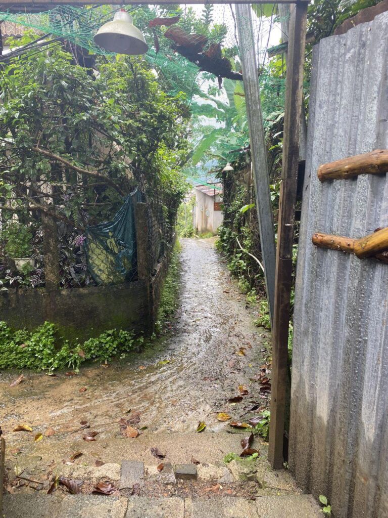 Chị Hai Ơi 17