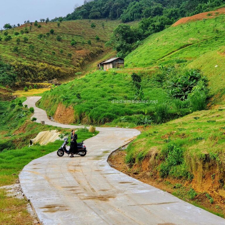 Đồi Bát Úp 3