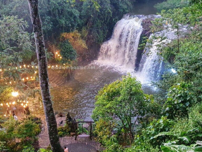 Zenda Glamping 4