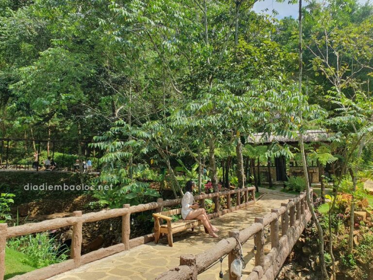 Zenda Glamping 9