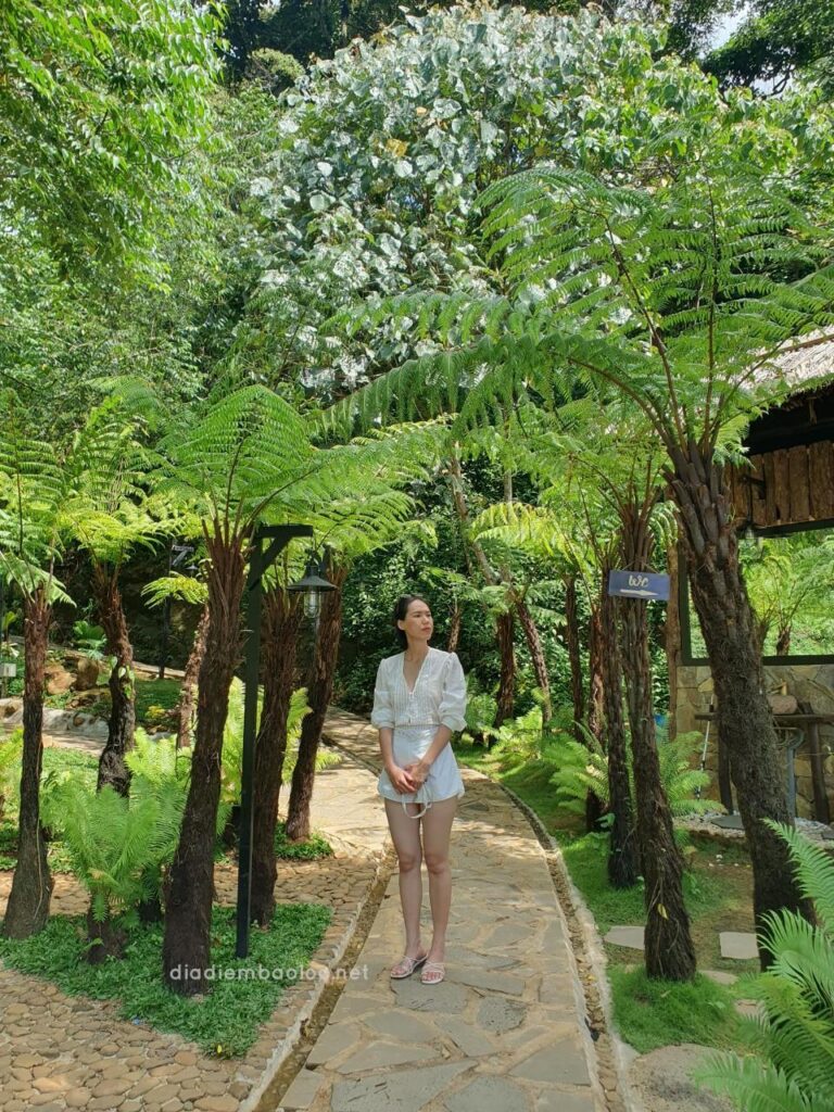 Zenda Glamping 2