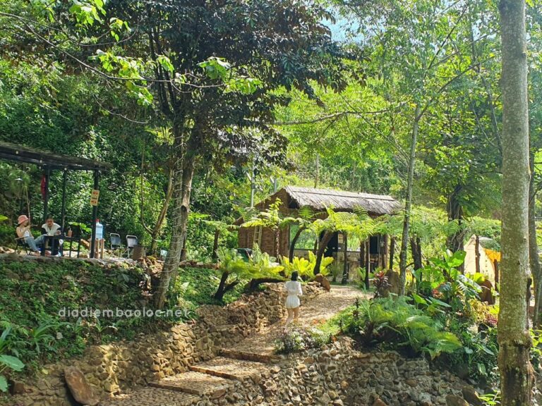 Zenda Glamping 7