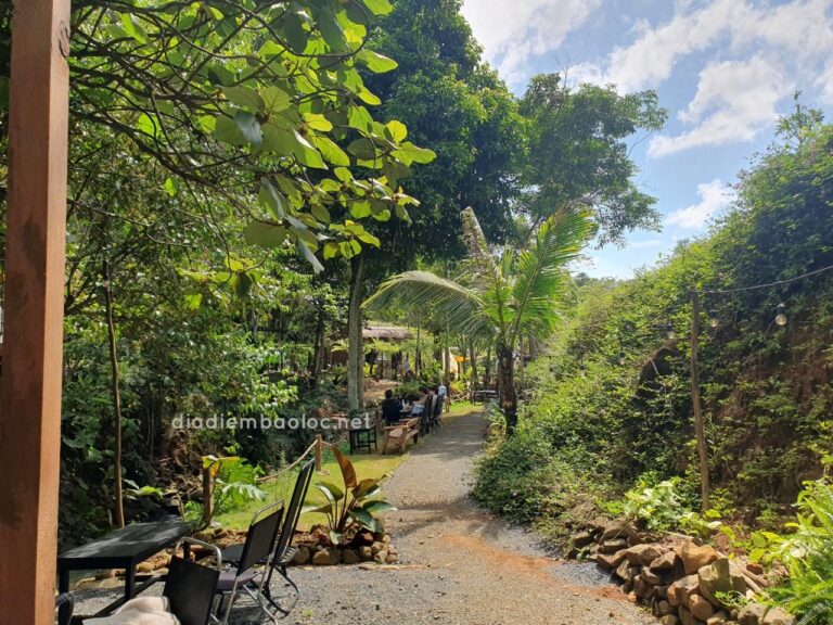 Zenda Glamping 10