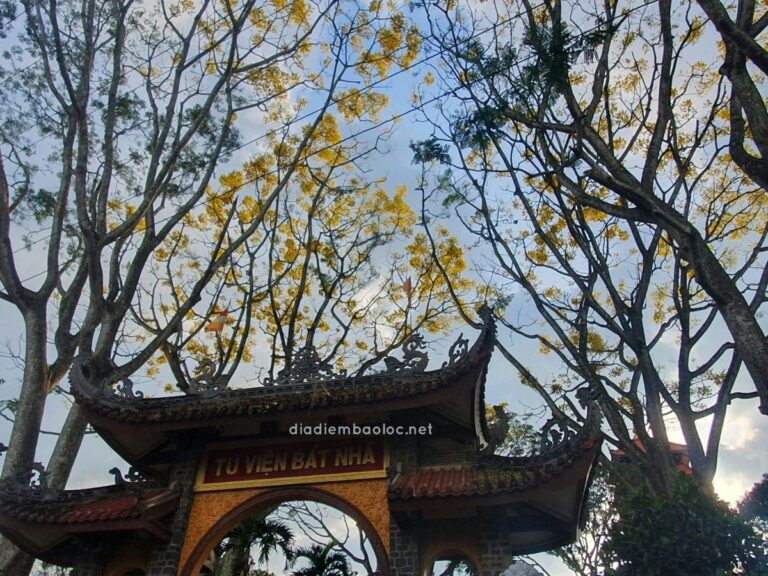 Tu viện Bát Nhã 5