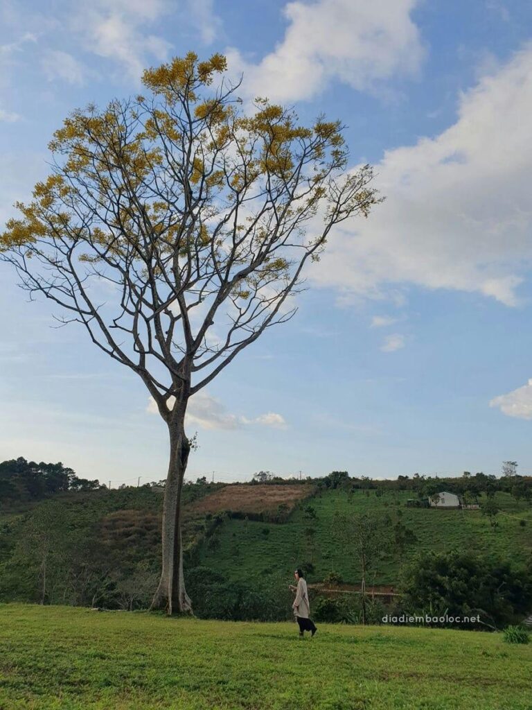 Tu viện Bát Nhã 26