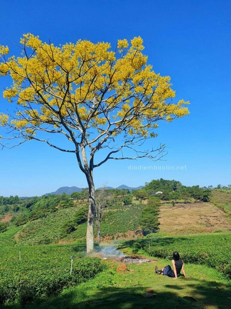 Tu viện Bát Nhã 4