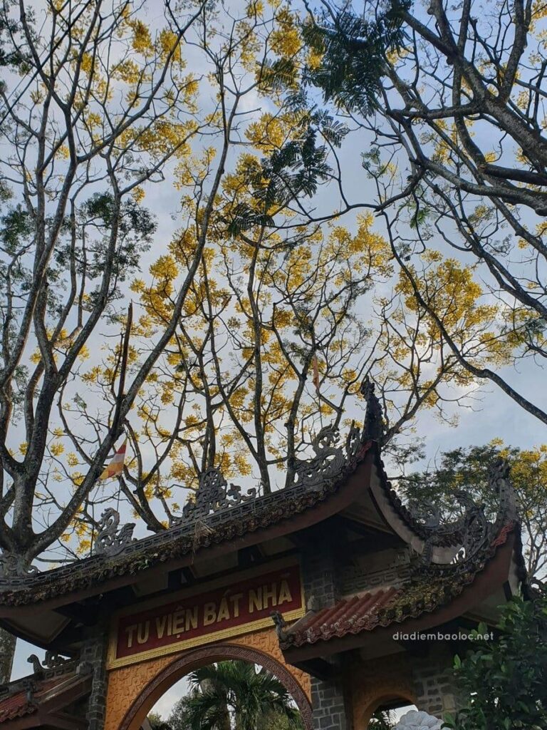Tu viện Bát Nhã 23