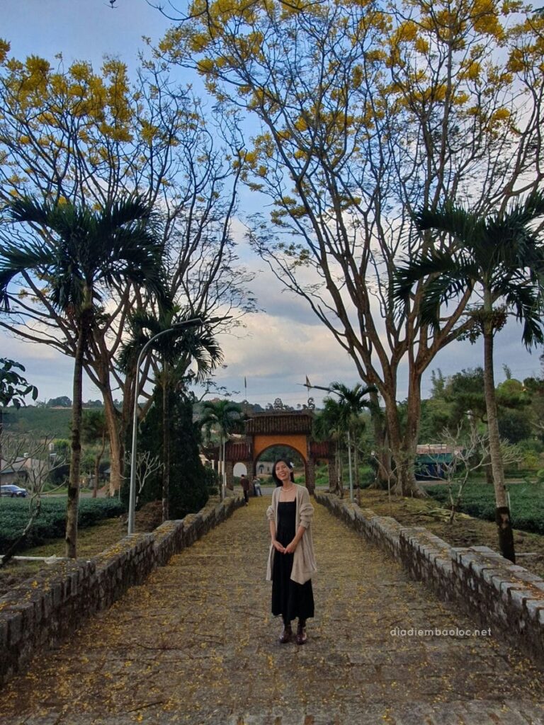 Tu viện Bát Nhã 22