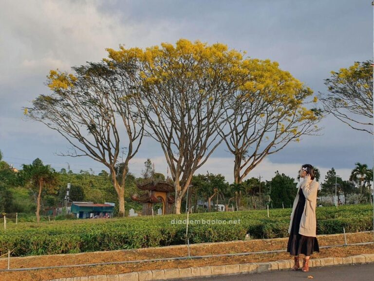 Tu viện Bát Nhã 6