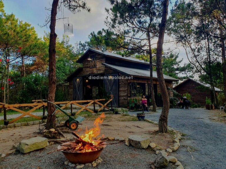 Nhà Gỗ Trong Rừng 2