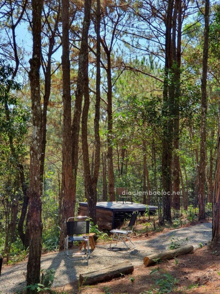 Nhà Gỗ Trong Rừng 15