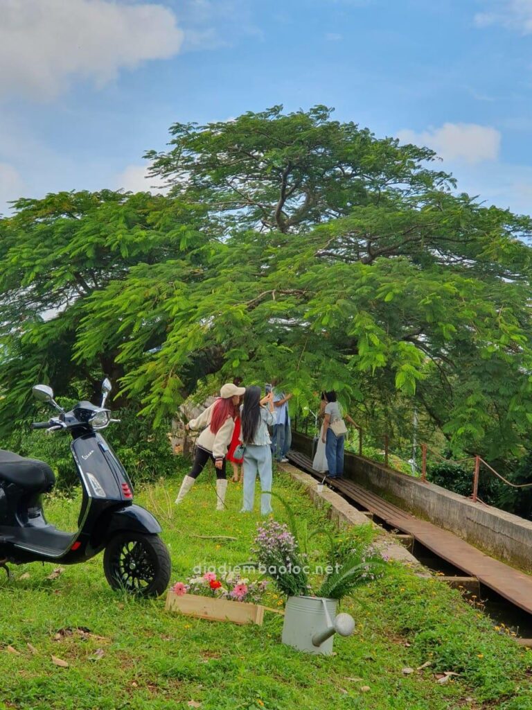 Cầu Máng 7