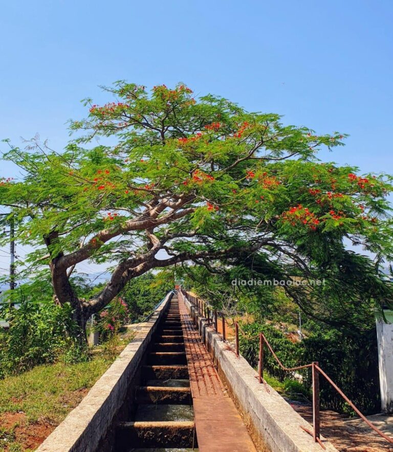 Cầu Máng 2