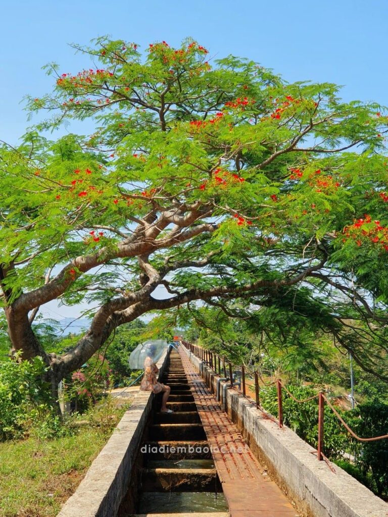 Cầu Máng 3